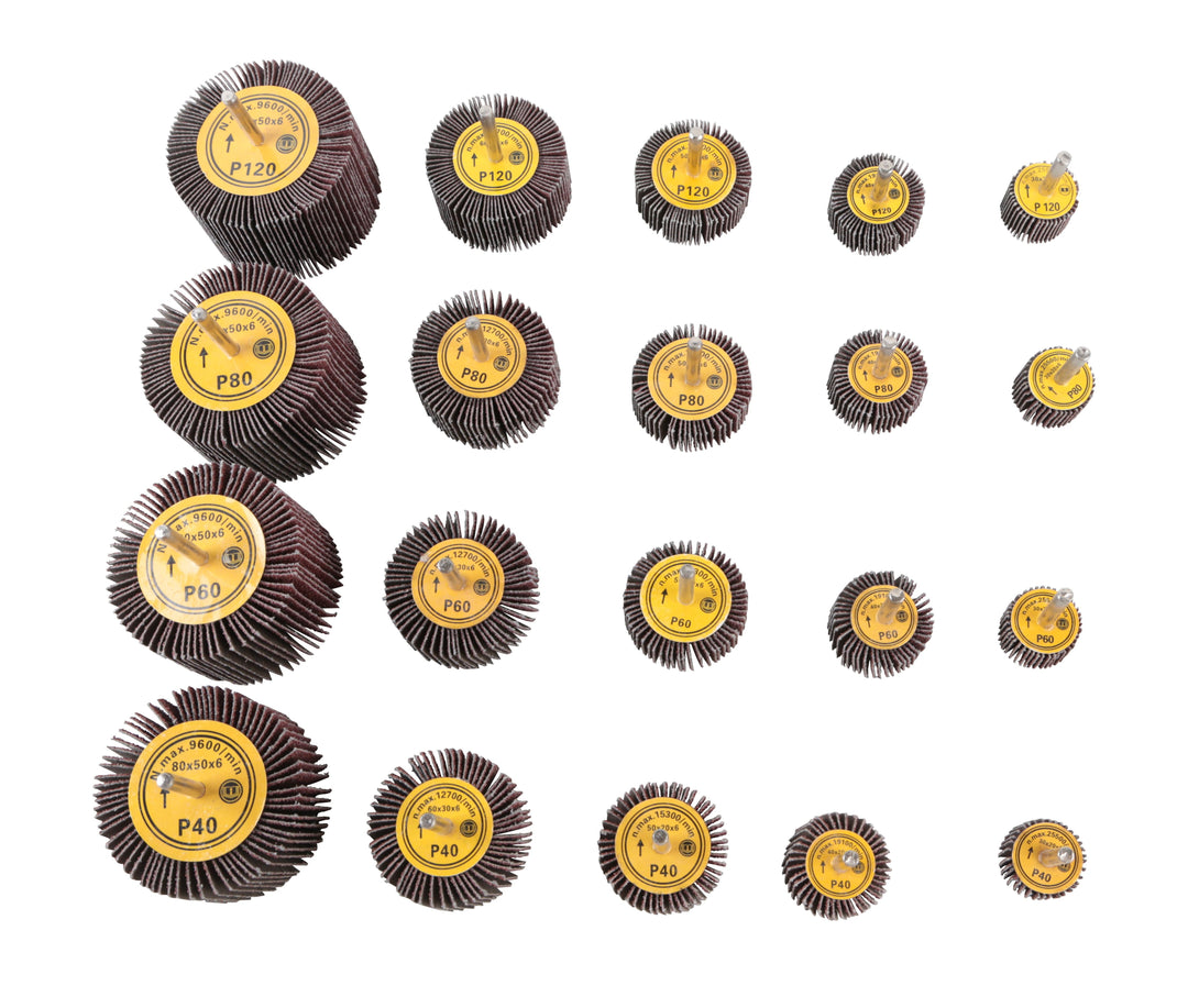 HILKA 20 pce Mixed Flap Wheels