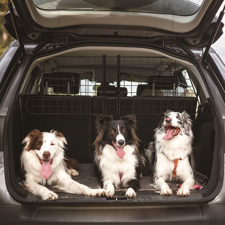 HILKA Heavy Duty Dog Guard