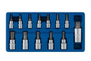 BLUE SPOT TOOLS 13 PCE TORX SOCKET BIT SET (T8-T70) - Premium Automotive from BLUE SPOT - Just £13.99! Shop now at Bargain LAB