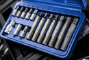 BLUE SPOT TOOLS 15 PCE 1/2" HEX BIT SET (H4-H12) - Premium Automotive from BLUE SPOT - Just £11.99! Shop now at Bargain LAB