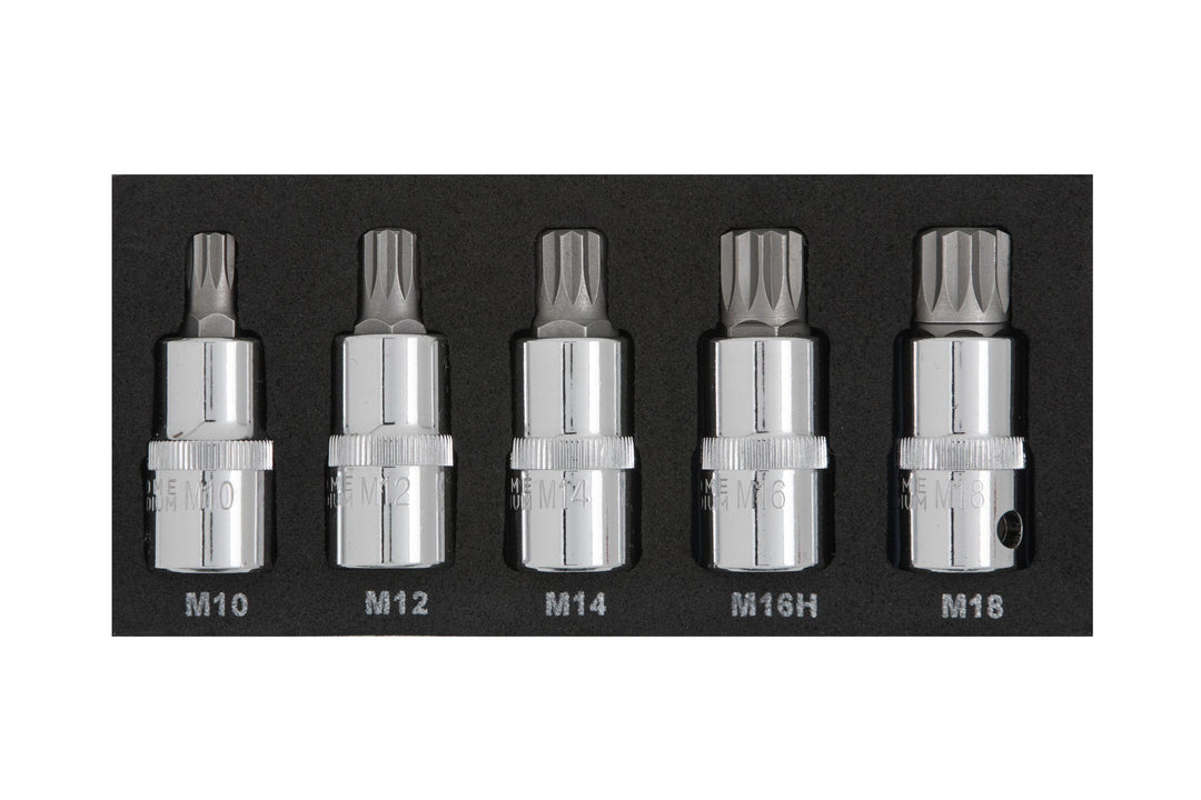 BLUE SPOT TOOLS 5 PCE 1/2" SPLINE BIT SET (M10-M18) (EVA FOAM) - Premium Automotive from BLUE SPOT - Just £15.99! Shop now at Bargain LAB