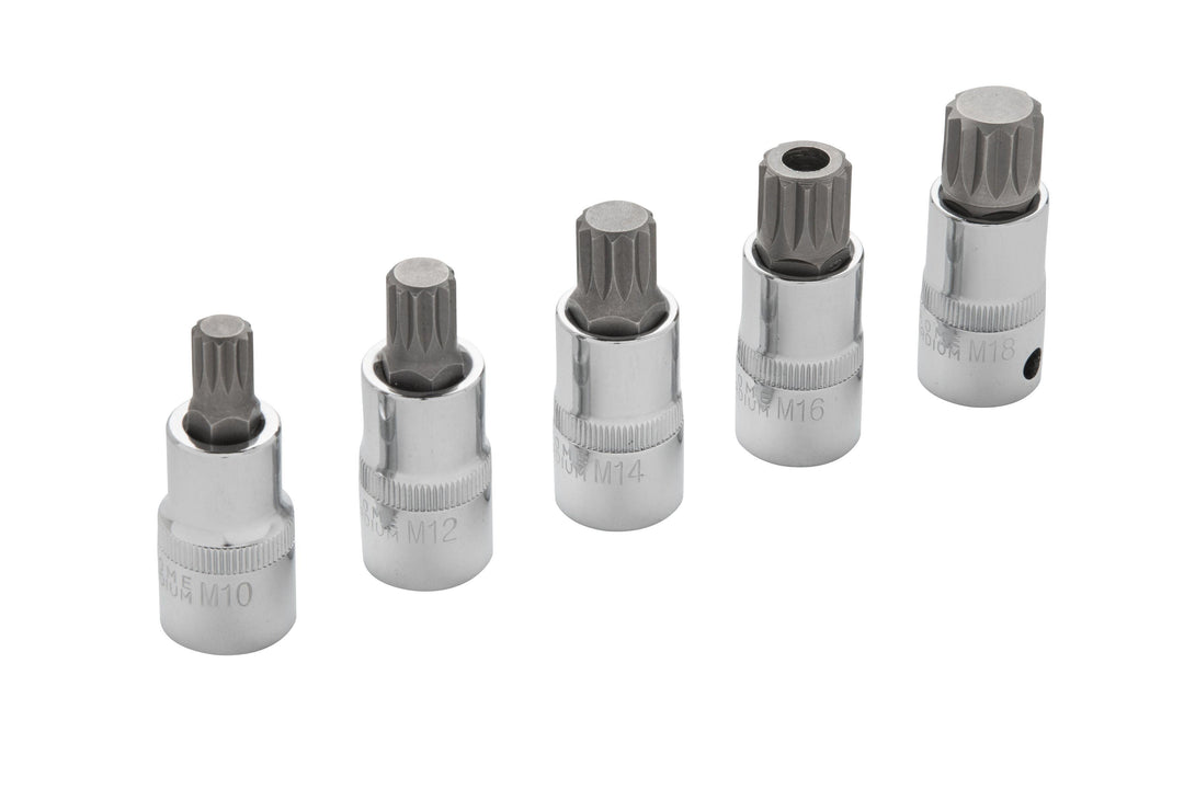 BLUE SPOT TOOLS 5 PCE 1/2" SPLINE BIT SET (M10-M18) (EVA FOAM) - Premium Automotive from BLUE SPOT - Just £15.99! Shop now at Bargain LAB