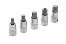 BLUE SPOT TOOLS 5 PCE 1/2" SPLINE BIT SET (M10-M18) (EVA FOAM) - Premium Automotive from BLUE SPOT - Just £15.99! Shop now at Bargain LAB