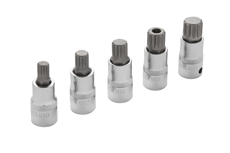 BLUE SPOT TOOLS 5 PCE 1/2" SPLINE BIT SET (M10-M18) (EVA FOAM) - Premium Automotive from BLUE SPOT - Just £15.99! Shop now at Bargain LAB